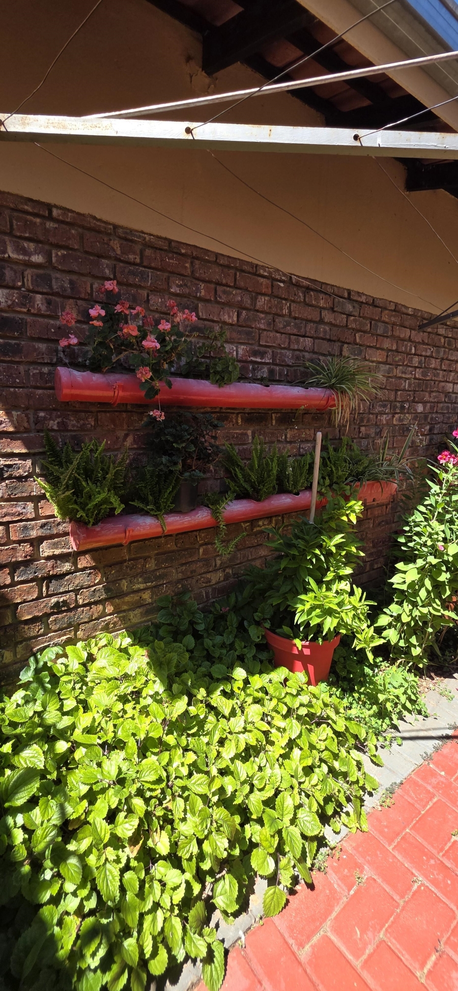 3 Bedroom Property for Sale in Riebeeckstad Free State